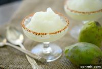 Emerald Cactus Sorbet with a Tequila Kiss