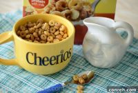 Fuel Your Day with Cheerios Protein