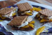 Mango Smores Dream