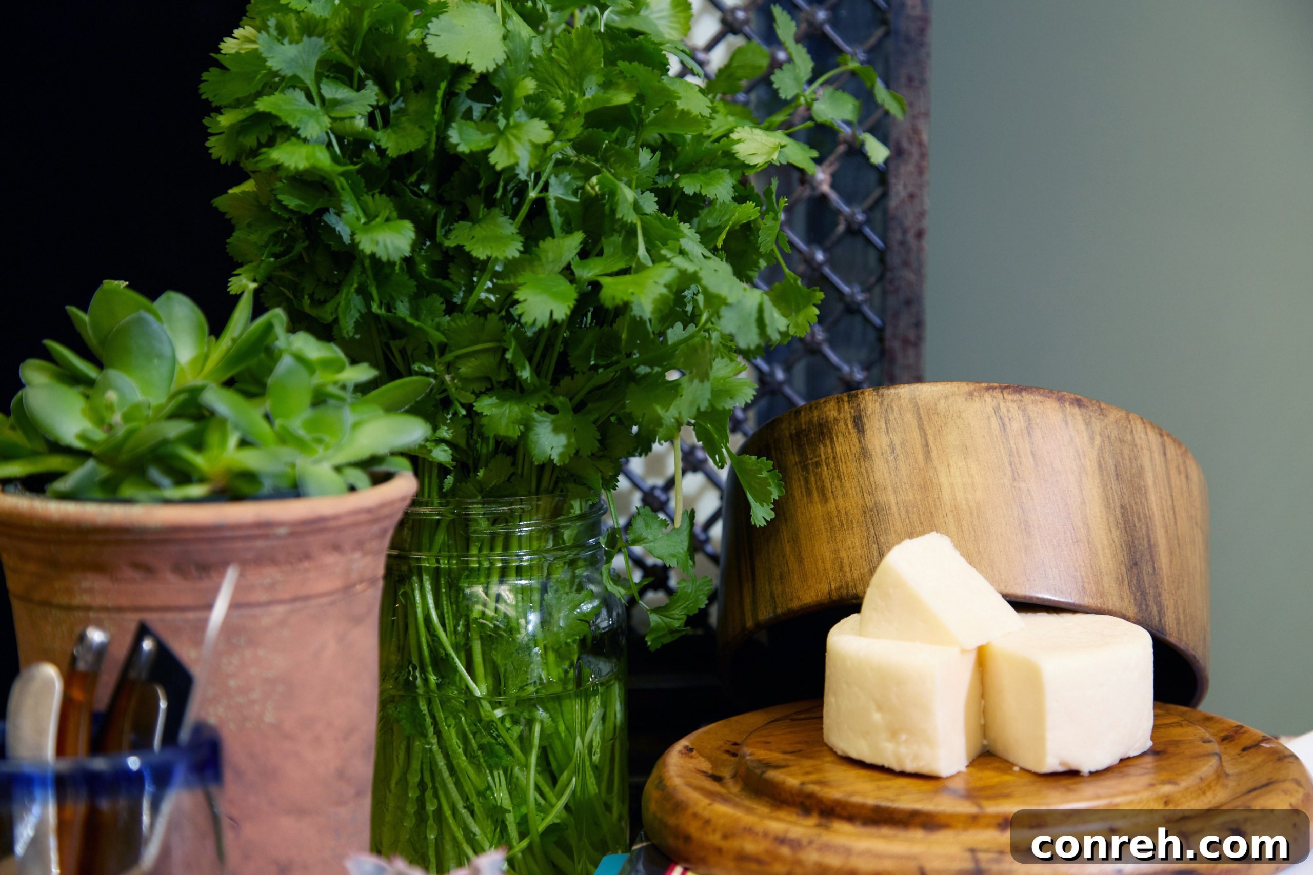 featured 11831 scaled