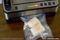 Unlock Freshness and Savings with FoodSaver Vacuum Sealer