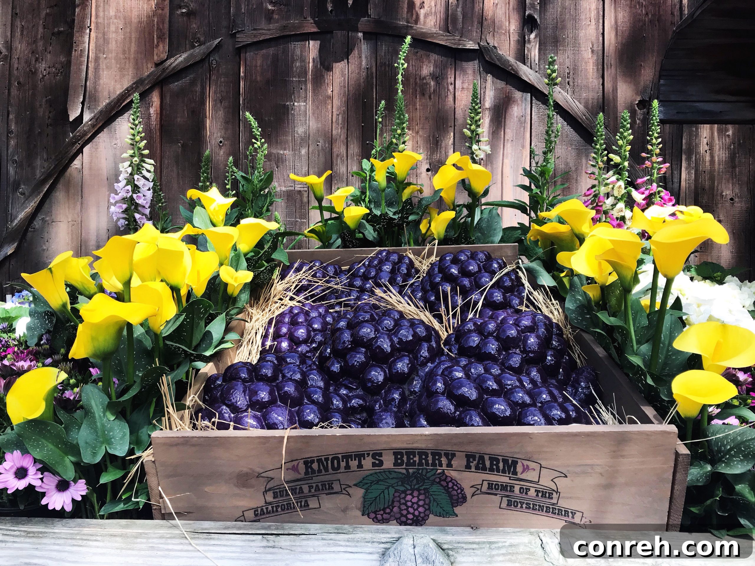 featured 16202 scaled