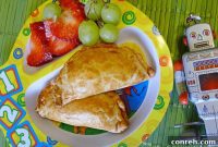 Golden Chilean Chicken Empanadas