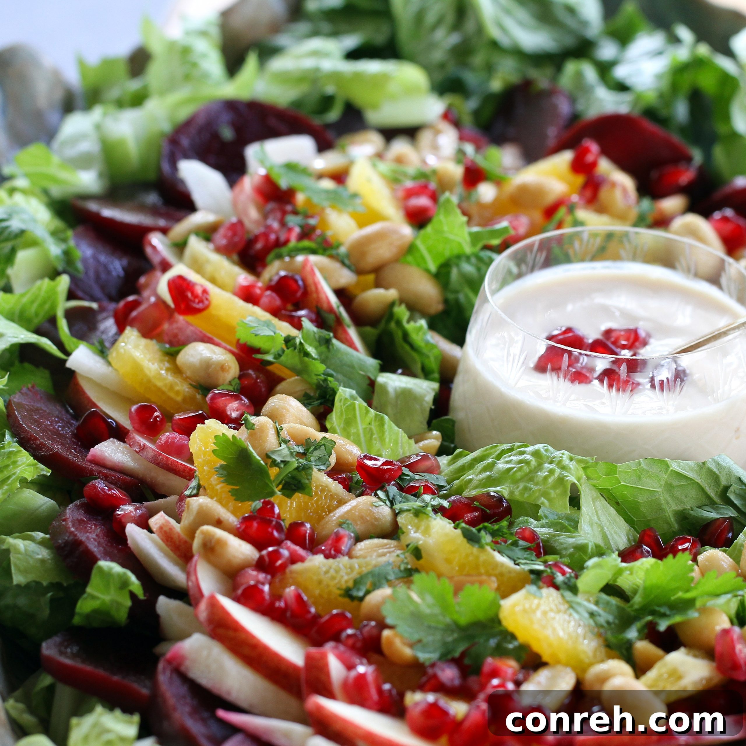 featured 5569 scaled