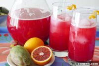 Desert Cactus and Blood Orange Chill