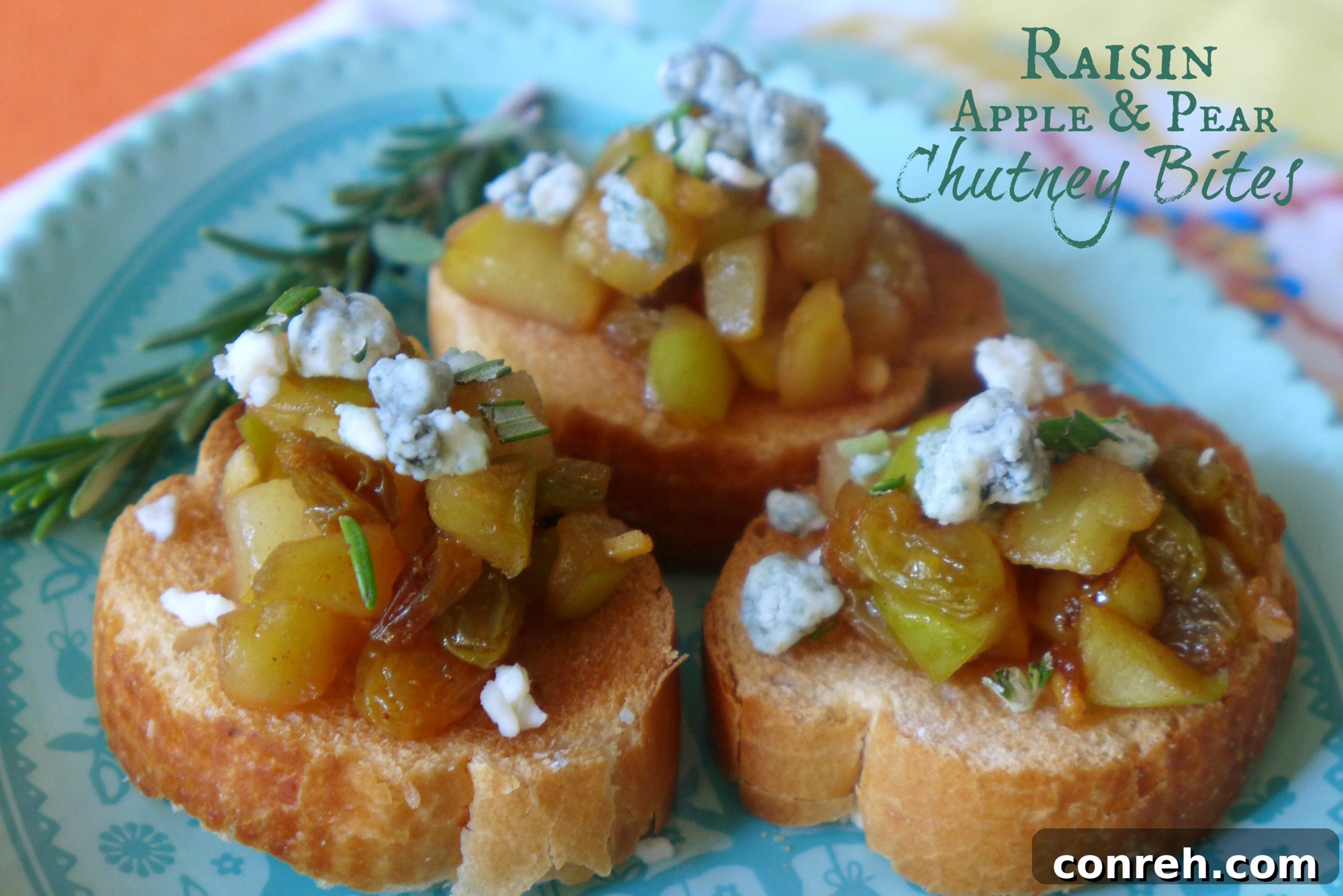 featured 6503 scaled