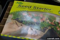 From Seed to Seasoning: Your Herb Garden Starter Kit