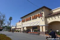 Choose the Best Seed Starter Kit for Thriving Plants