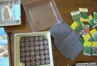 Kickstarting My Herb Garden Seeds