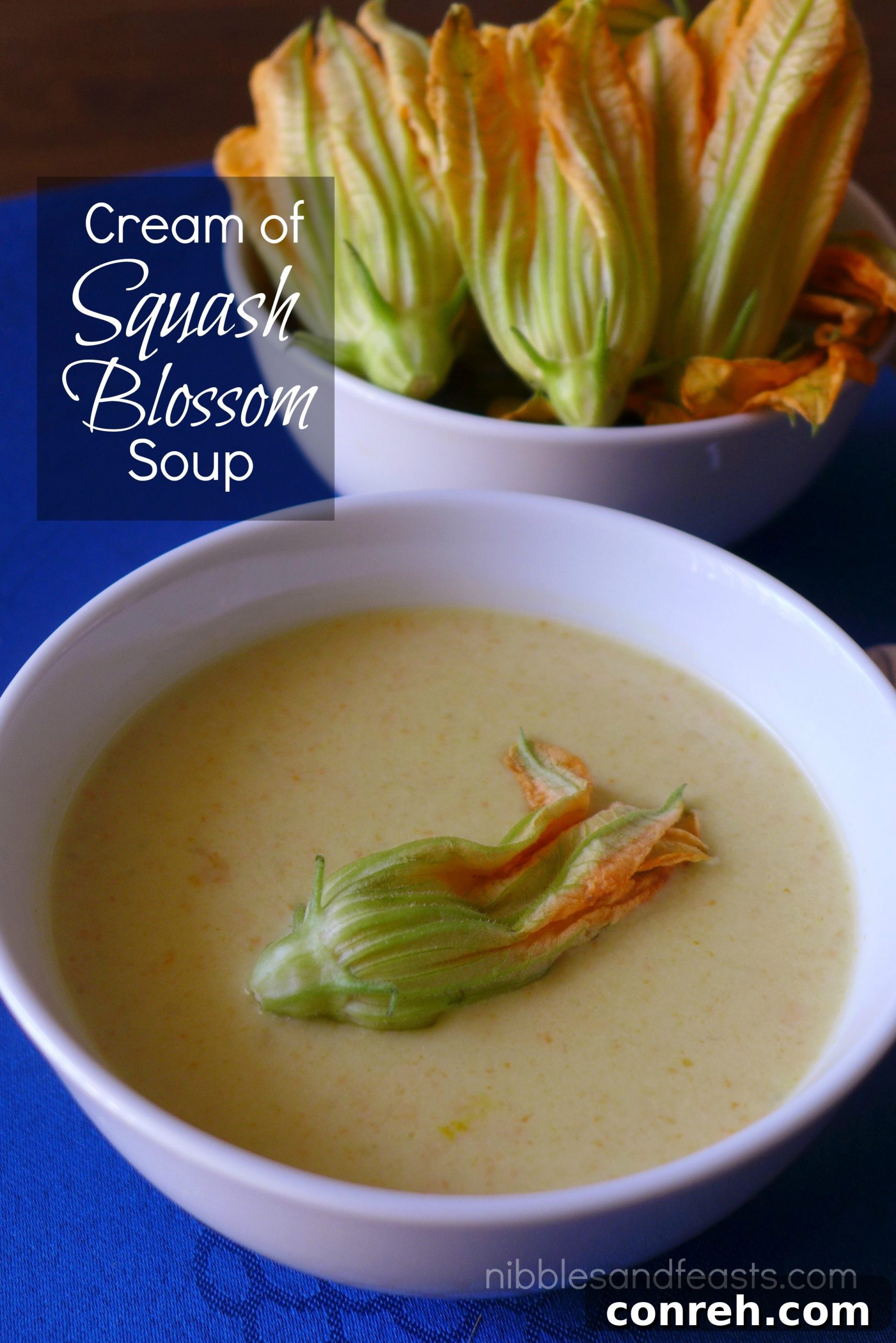 featured 6826 scaled