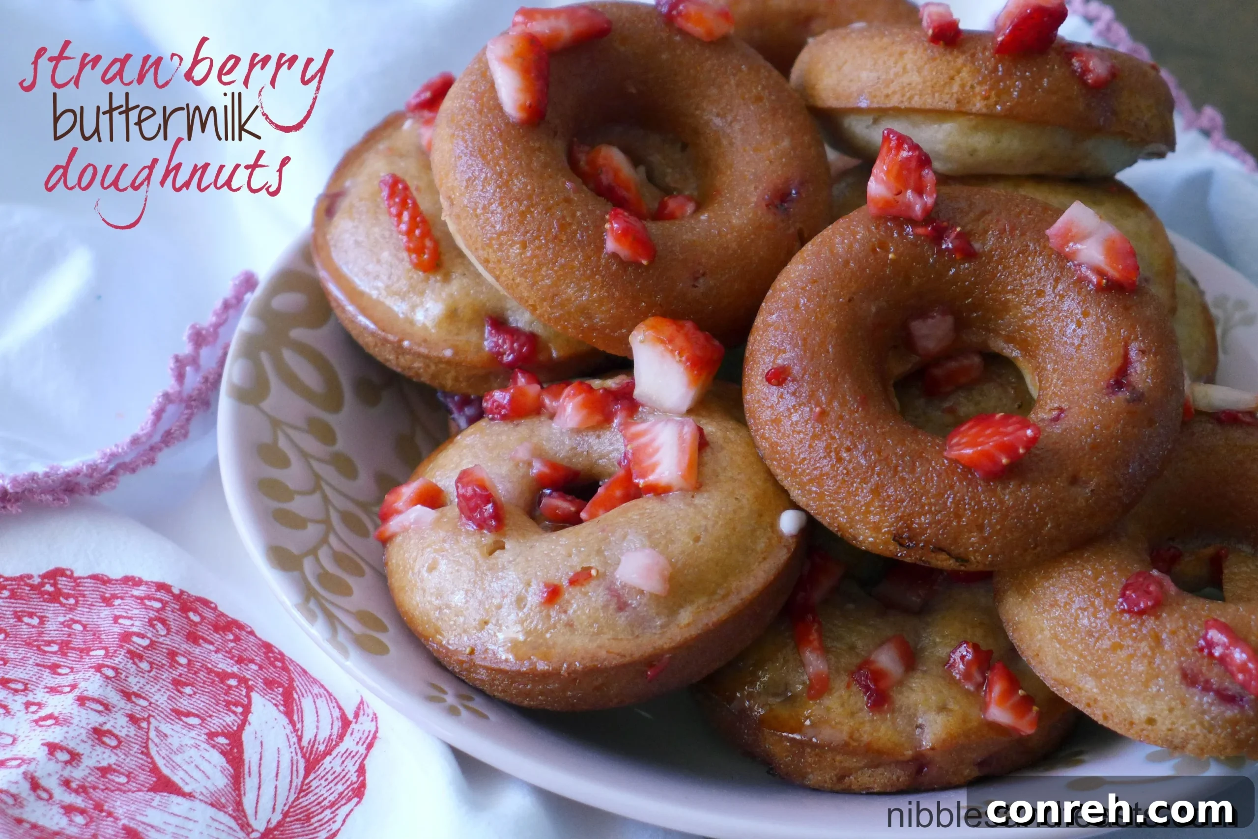 featured 7016 scaled