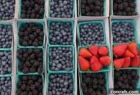 Harvesting Wisdom at the Market