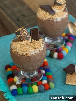 S'mores Chia Pudding