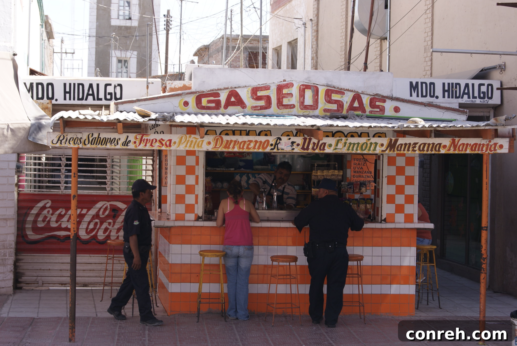 Aguas Gaseosas - Mexican Fizzy Drinks