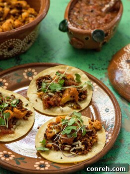 Delicious and vibrant cauliflower and soy chorizo tacos, topped with fresh microgreens and salsa.