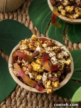 Cocoa Canopy Crunch 5 Chocolate Jungle Popcorn Munch snack