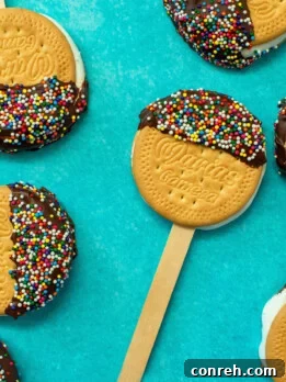 Maria's S'mores Bliss Pops 2 Vibrant Marias S'mores Pops decorated with colorful sprinkles, held by a wooden stick.