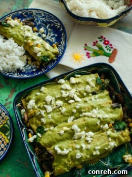 Vegetarian Enchiladas Poblanas