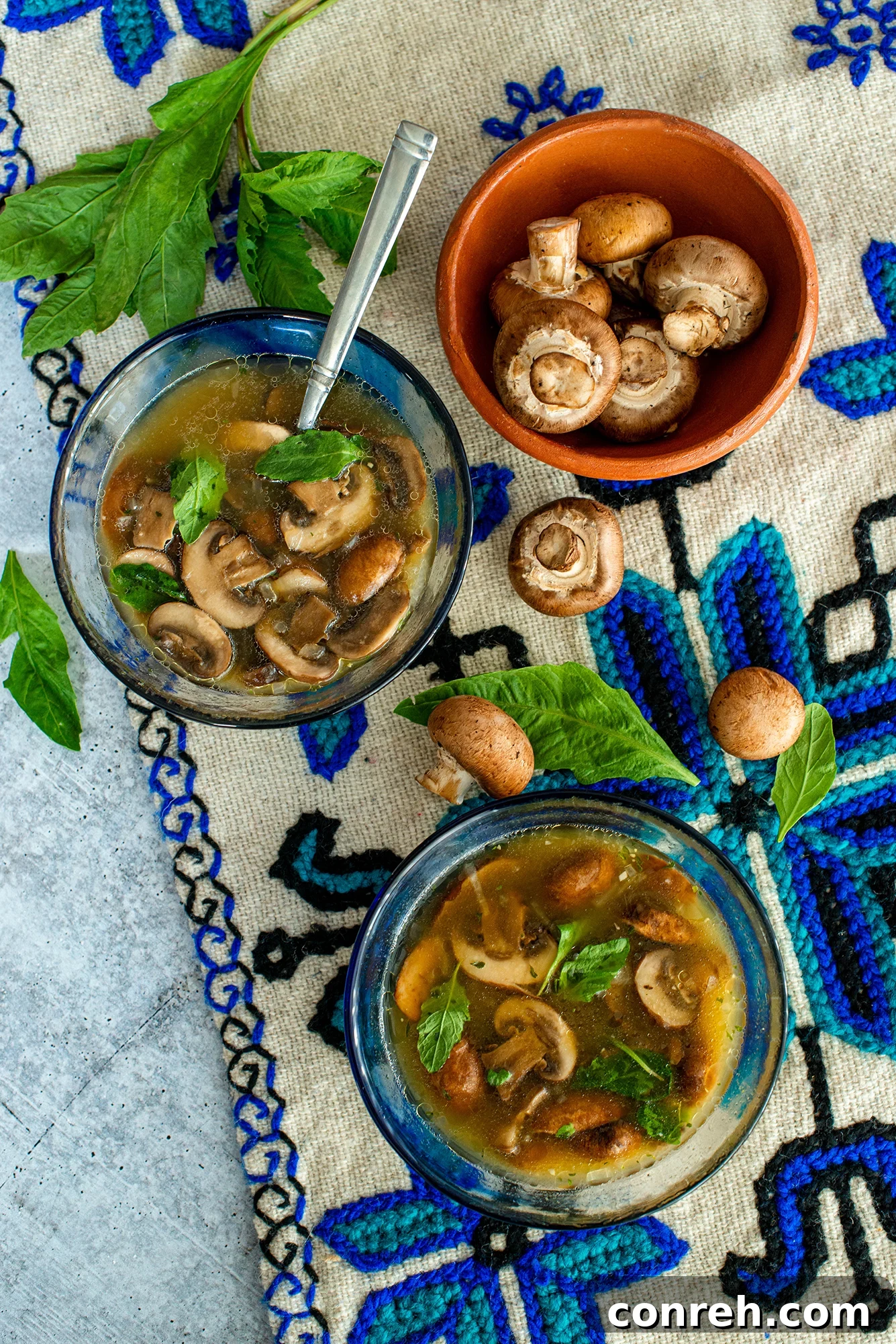 Wild Mushroom Epazote Soup 2 Fresh Cremini Mushrooms for Soup