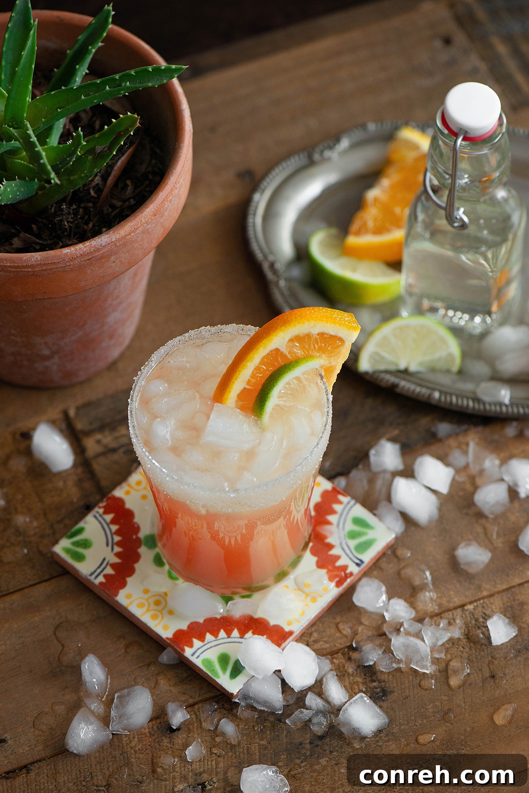 Two glasses of Paloma cocktails, garnished with grapefruit and lime, resting on a bright surface with additional fruit slices.