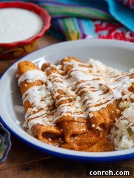 A top-down view of the Sesame Enchiladas, showcasing the rich sauce and toppings.