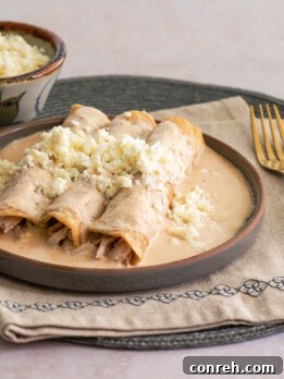 Prepared Enjococadas served on a plate, topped with creamy sauce and crumbled queso fresco.