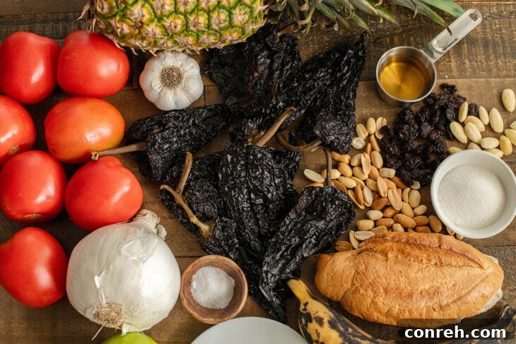 Close-up of Mole Manchamanteles with roasted chicken and fresh herbs