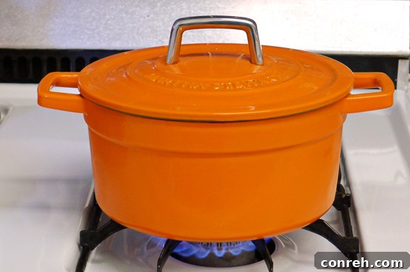 Cast Iron Pot in Use Close-up of the Martha Stewart Enameled Cast Iron pot in action, perfectly simmering Picadillo ingredients.