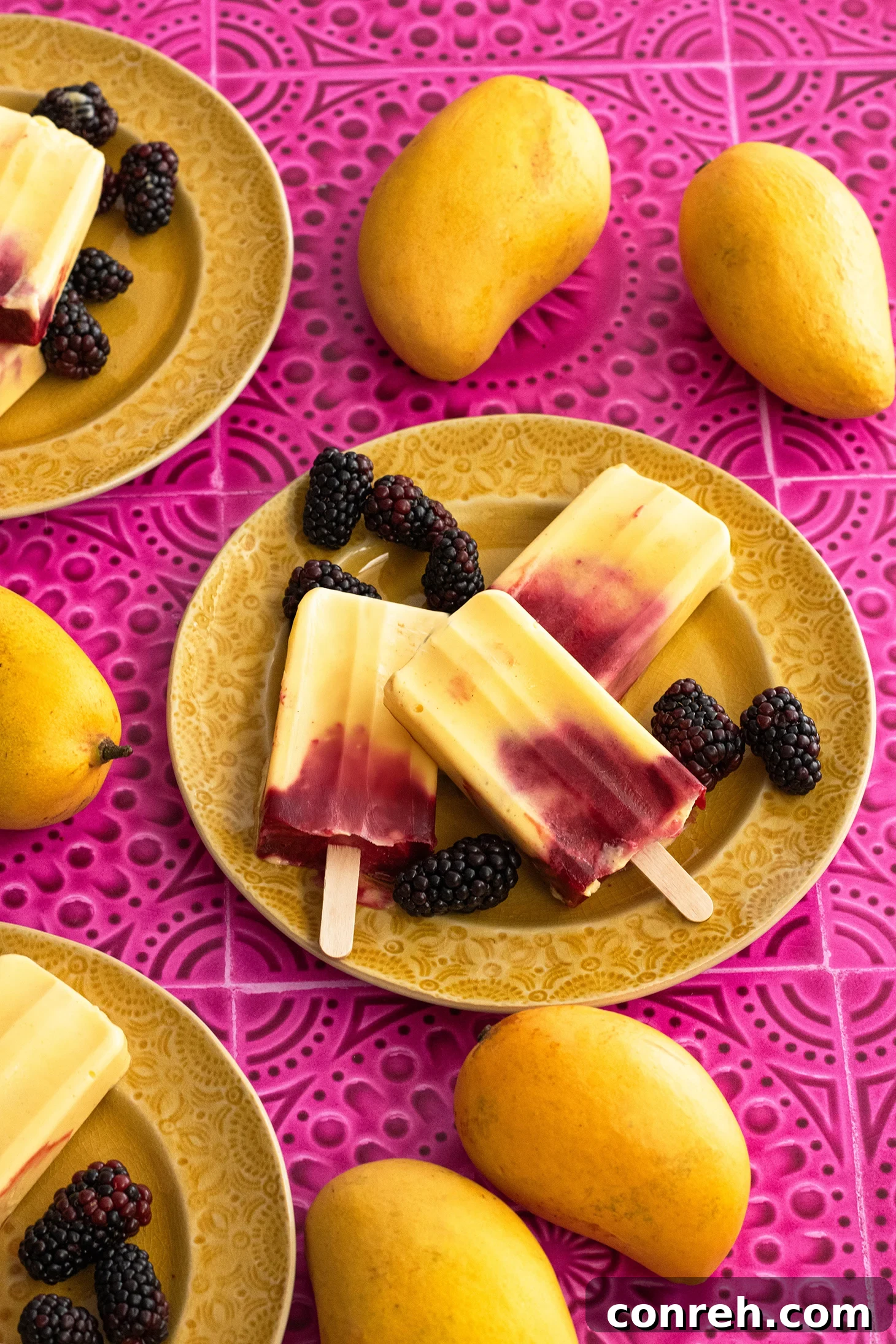 Creamy Mango Blackberry Paletas 2 Vibrant Yogurt Mango Blackberry Paletas, a refreshing treat for spring