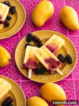 Mango Yogurt and blackberry Paletas