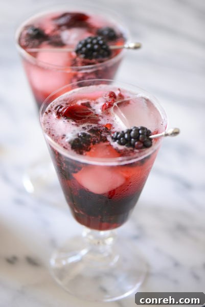 Blackberry Hibiscus Fizz, a vibrant and floral summer drink ideal for parties.