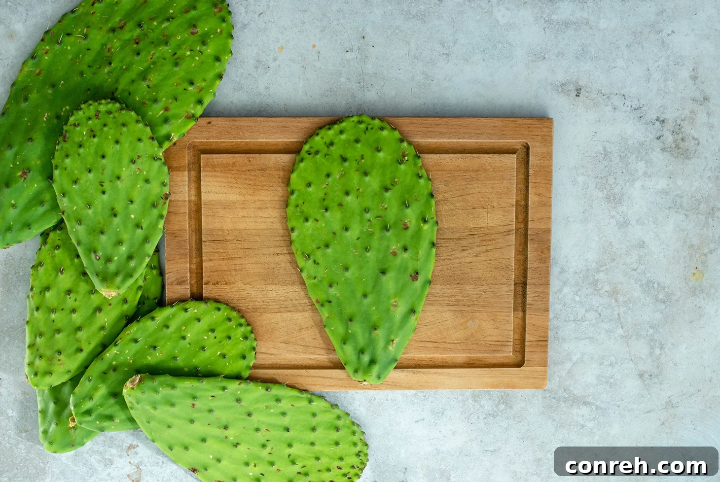 Fresh Nopales cactus paddles, cleaned and ready for cooking.