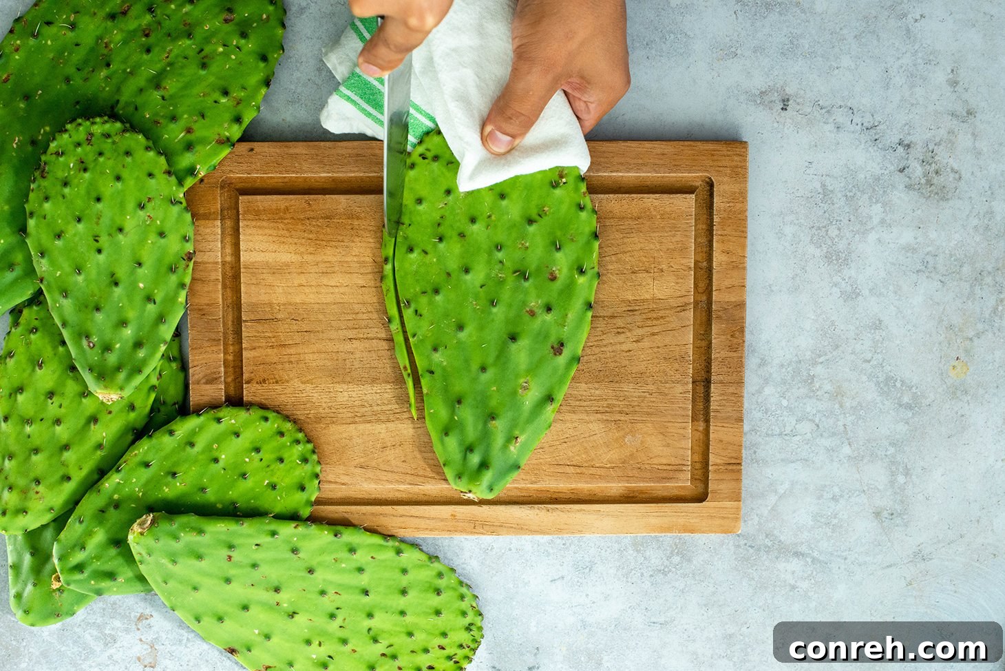 Securing a nopales paddle on a cutting board with a kitchen towel.