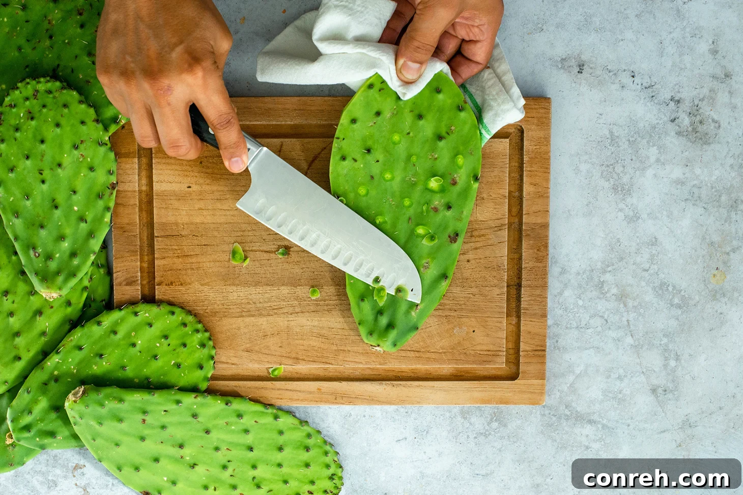 Scraping spines from a nopales paddle with a knife.