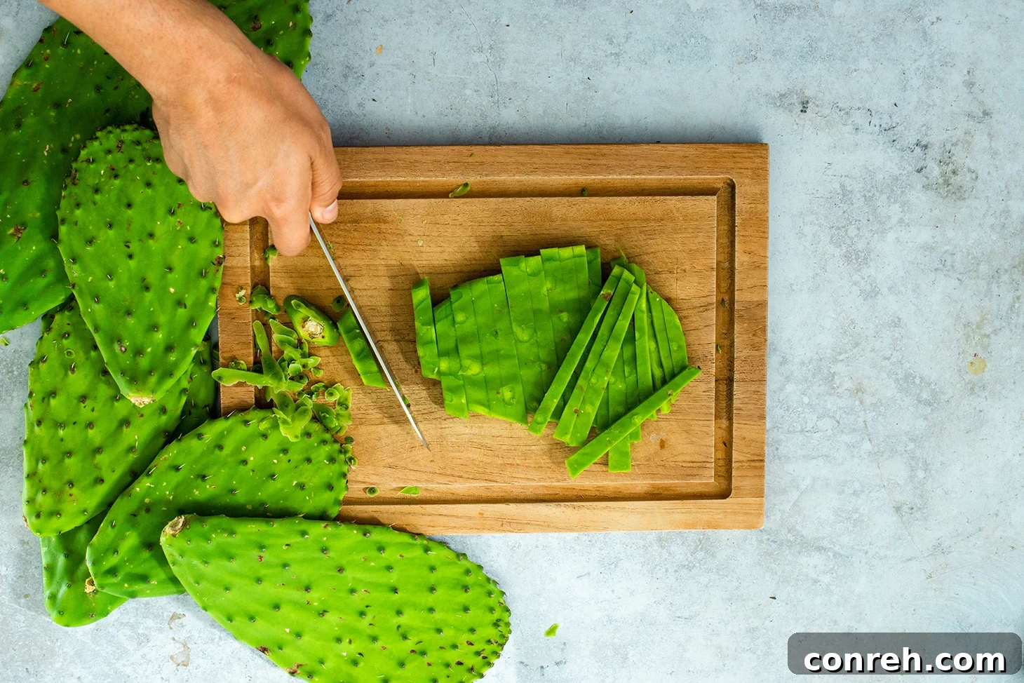 Trimming the base and blemishes from a cleaned nopales paddle.