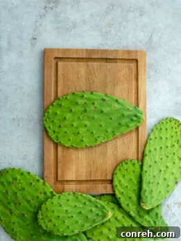 Cooked nopales cubes with onion and cilantro.