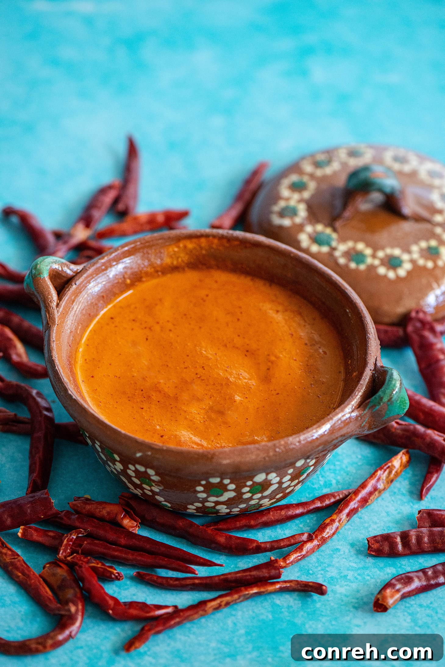 Vibrant Chile de Arbol Salsa with dried chiles in a bowl