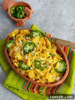 A vibrant plate of Migas, a classic Mexican comfort dish, featuring crispy tortillas scrambled with eggs, topped with fresh jalapeños, cilantro, and crumbled queso fresco.