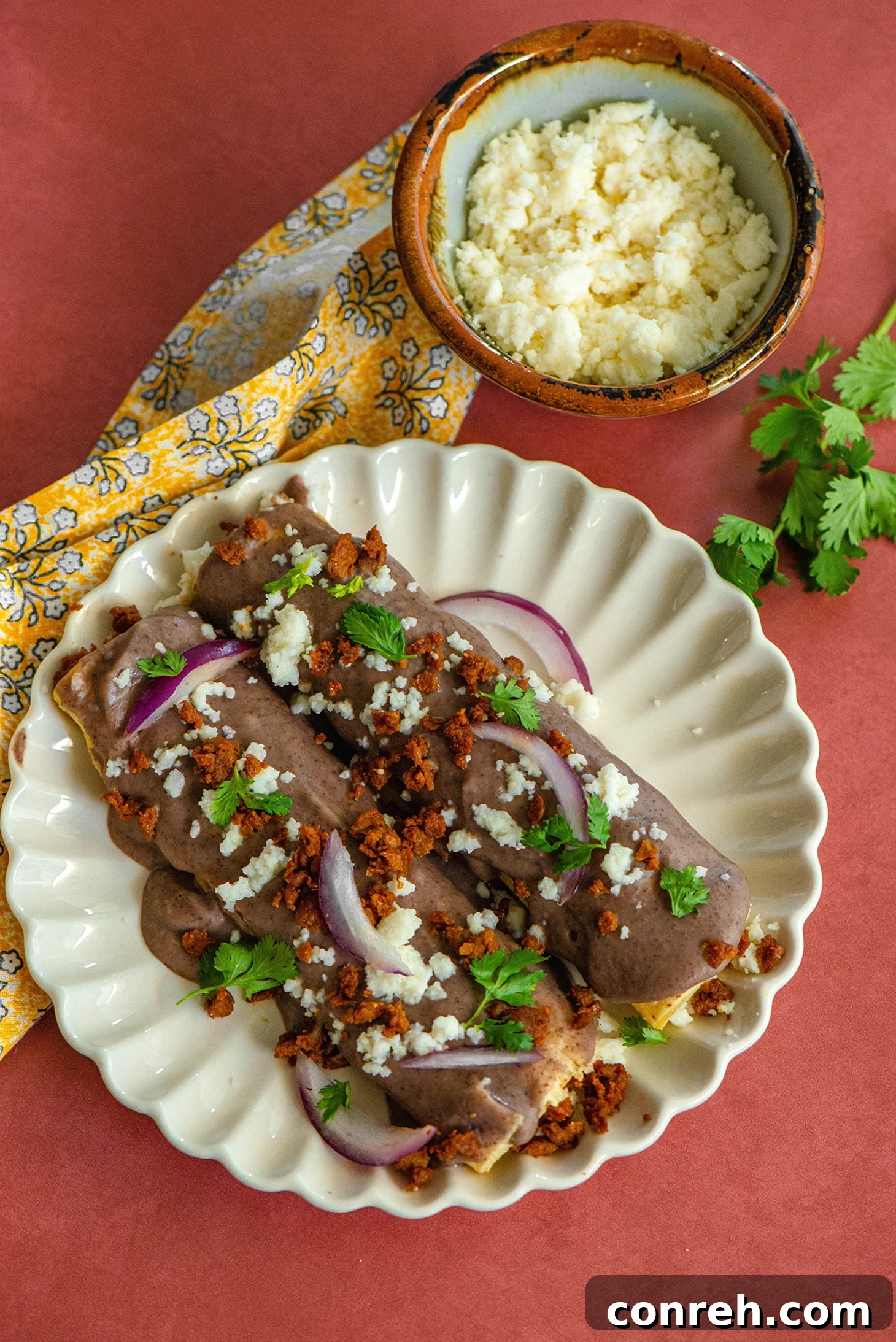 A vibrant platter of Queso Fresco Enfrijoladas garnished with fresh cilantro and red onion slices.
