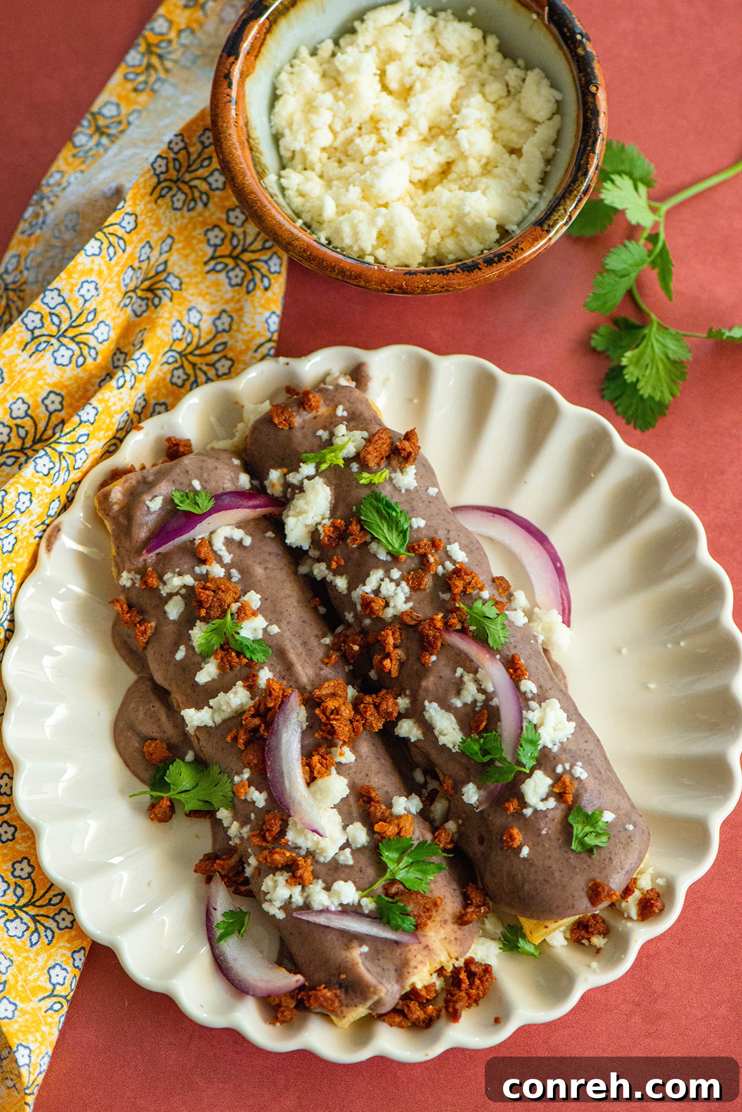 A top-down view of a plate of Queso Fresco Enfrijoladas with a side of rice.