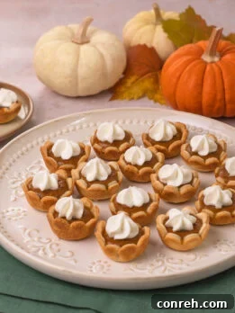 A collection of mini pumpkin pies, some with whipped cream, on a cooling rack.