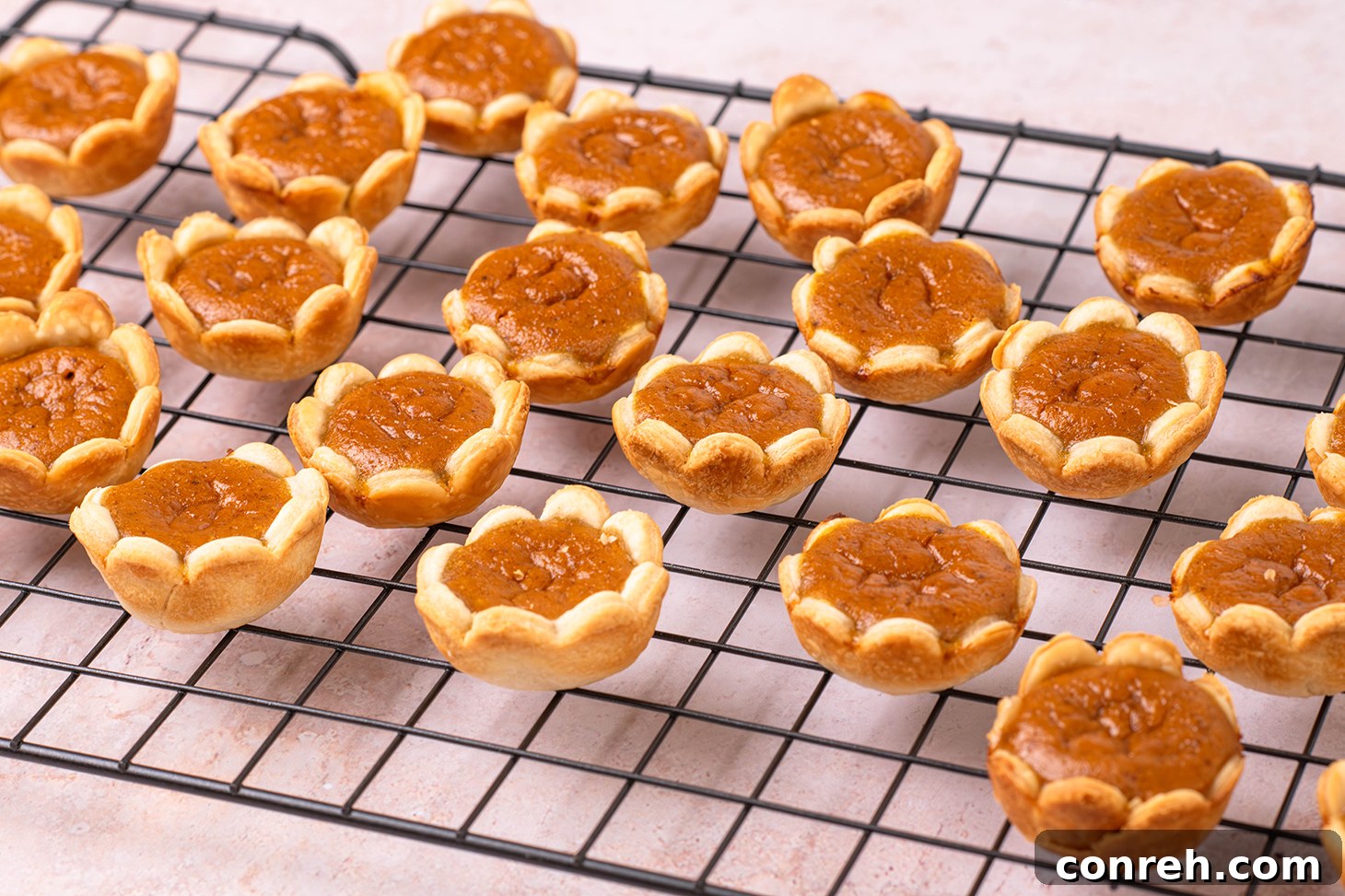 Baked mini pumpkin pies on a cooling rack, ready for garnishing.