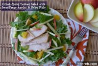 Citrus-Spiced Turkey Salad with SweeTango Apples, Baby Kale + Giveaway