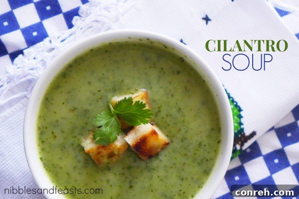 sopa-de-cilantro-soup