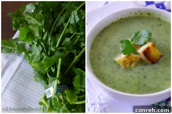 sopa-de-cilantro-4.jpg