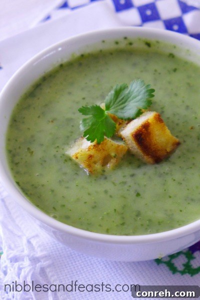 sopa-de-cilantro-3.jpg