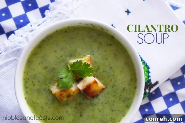 sopa-de-cilantro-soup