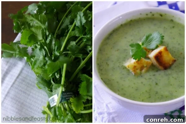 sopa-de-cilantro-4.jpg