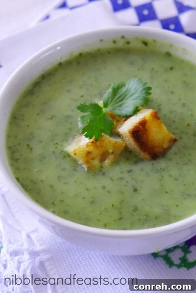 sopa-de-cilantro-3.jpg